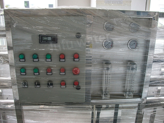 Custom Water Treatment Plant Reverse Osmosis Filter System 250LPH
