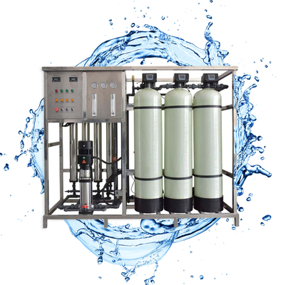 1000LPH FRP Mineral Water RO Water Treatment System Filter Plant